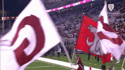 Red And White Flag With Horn GIF