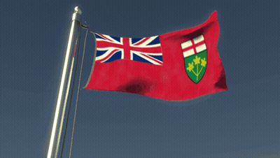 Red And White Flag With Shield GIF