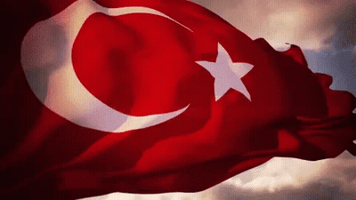 Red And White Flag With Star And Crescent Moon GIF