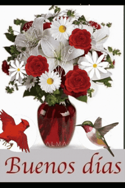 Red And White Flowers With Hummingbird And Cardinals Saying Buenos Dias GIF