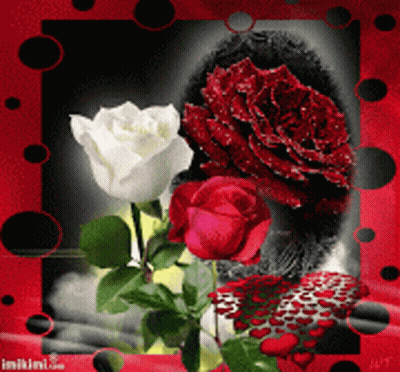 Red And White Roses With Ladybug GIF
