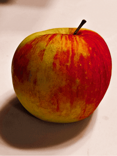 Red And Yellow Apple With Black Stem GIF