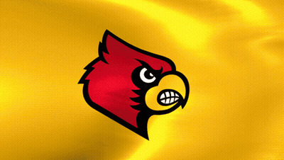 Red And Yellow Bird With Yellow Beak GIF