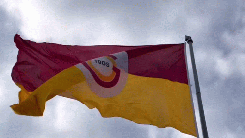 Red And Yellow Flag With 1905 GIF