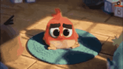 Red Angry Bird Sitting On Blue Rug GIF