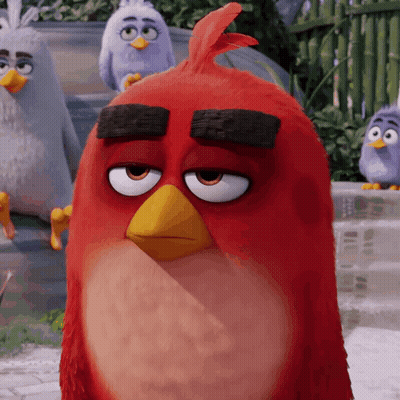 Red Angry Bird With Yellow Beak In Front Of Fence GIF