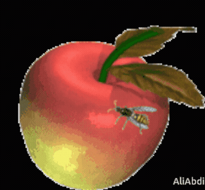 Red Apple With Green Leaf And Wasp GIF