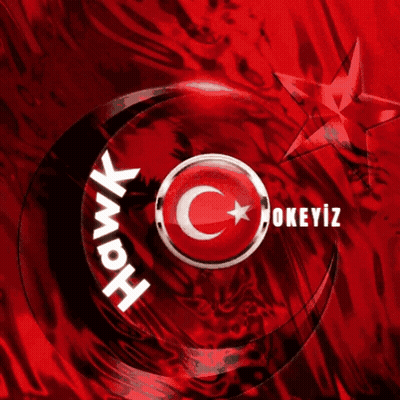 Red Background Hawk Logo Crescent Moon GIF