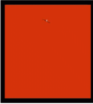 Red Background White Cat Outline GIF