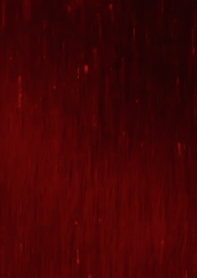Red Background With Blood Texture GIF