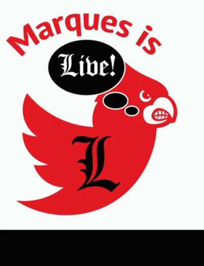 Red Bird Saying Marques Is Live GIF