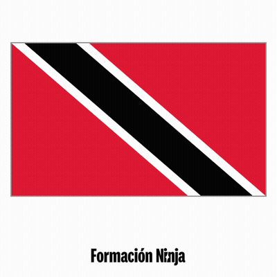 Red Black And White Flag Saying Formacion Ninja GIF