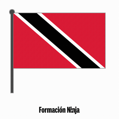 Red Black And White Flag Saying Formacion Ninja GIF