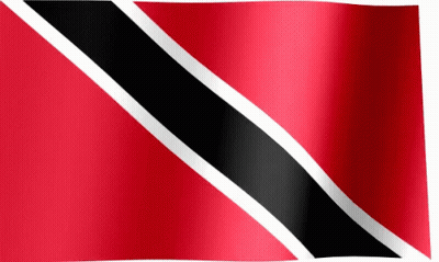 Red Black And White Flag With White Stripe GIF