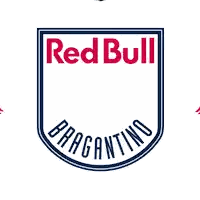 Red Bull Logo With Soccer Ball Sticker
