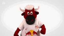 Red Bull Mascot Of Austrian Soccer Club GIF