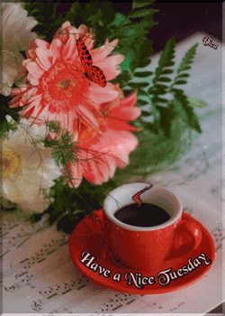 Red Butterfly Cute Tuesday GIF