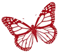 Red Butterfly With White Spots Sticker