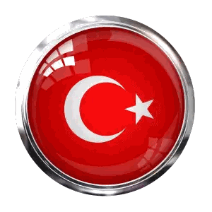 Red Button With Crescent Moon And Star Sticker