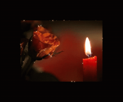 Red Candle Lit Next To Yellow Rose GIF