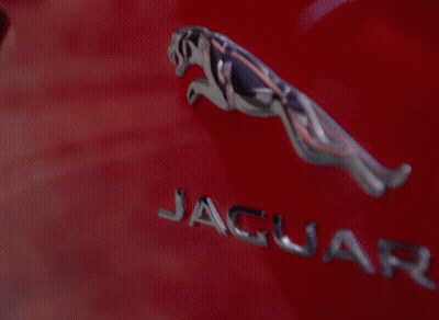 Red Car Driving Down Road With Trees GIF