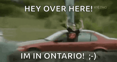 Red Car Man Says Hey Over Here GIF