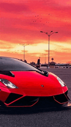 Red Car Meme GIF