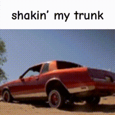 Red Car Shakin My Trunk GIF