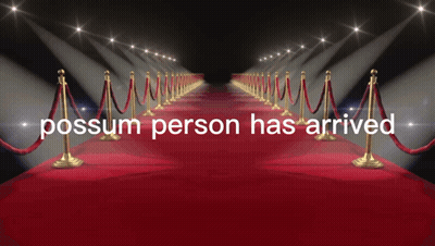Red Carpet Possess Person Has Arrived GIF