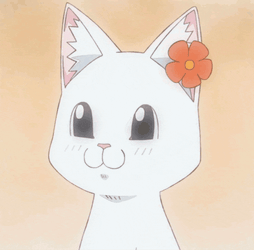Red Cat GIF