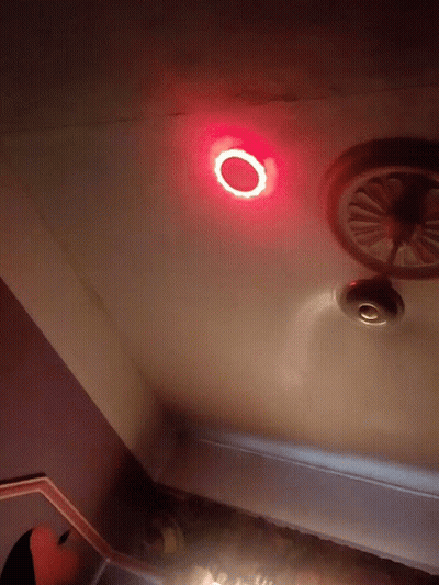 Red Circle Glowing GIF