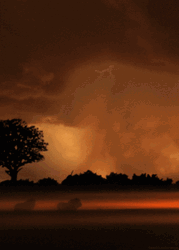 Red Clouds On Thunderstorm GIF