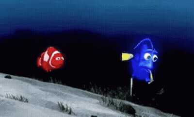Red Clown Fish And Blue Fish Swimming GIF