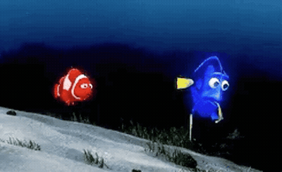 Red Clown Fish And Blue Fish Swimming GIF