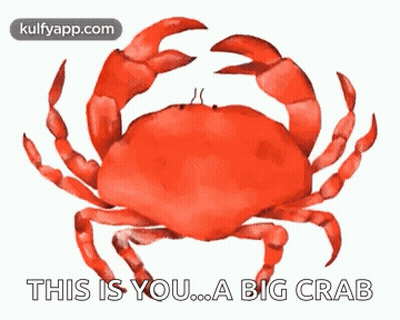 Red Crab This Is You ... A Big Crab GIF