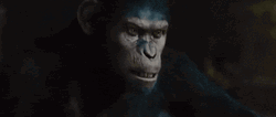 Red Dawn Planet Of The Apes GIF