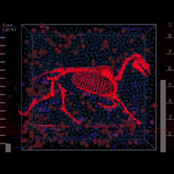 Red Dinosaur Skeleton Running GIF