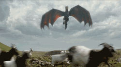 Red Dragon Meleys Hunting Burning Cattles GIF