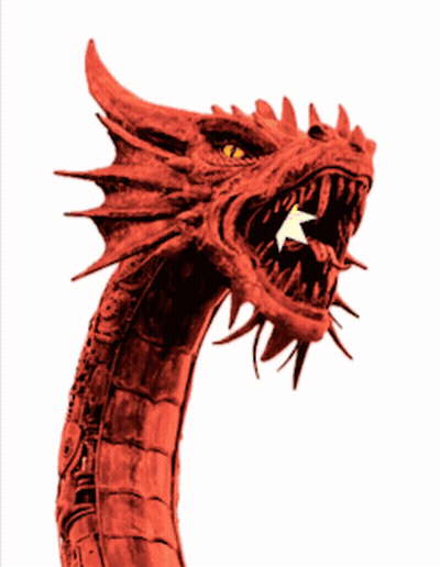 Red Dragon Wrexham GIF