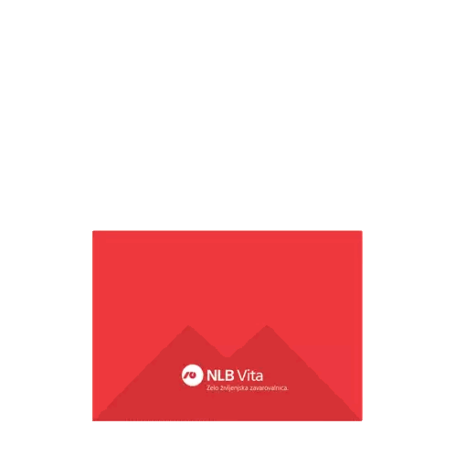 Red Envelope Saying NLB Vita Sticker