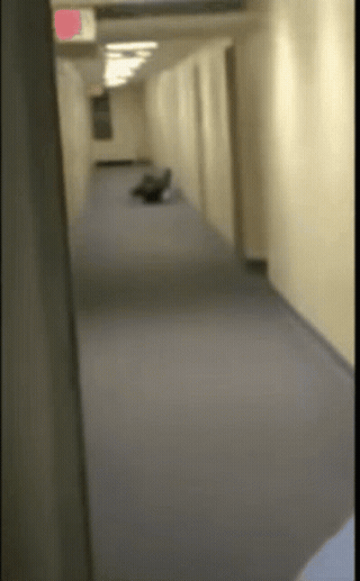 Red Exit Sign In Hallway GIF