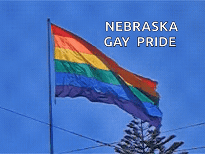 Red Face Mask Saying Go Vote Nebraska GIF