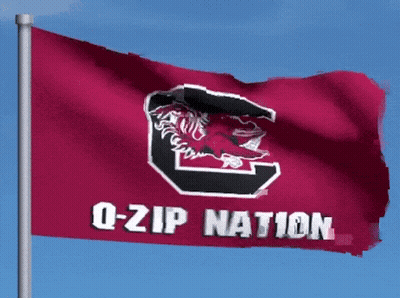 Red Flag Saying Q-Zip Nation Waving In Wind GIF