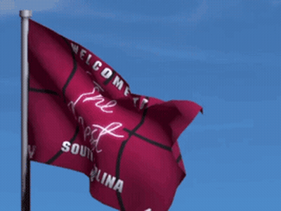Red Flag Saying The Nest South Carolina GIF