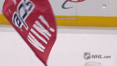 Red Flag Saying Victory GIF