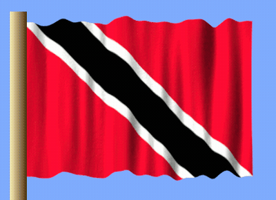 Red Flag With Black And White Stripe GIF