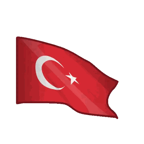 Red Flag With Crescent Moon And Star Sticker