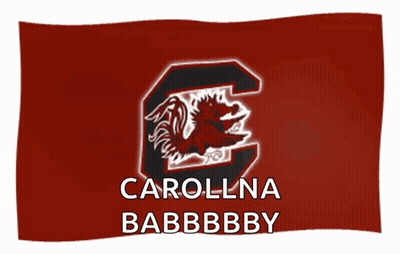 Red Flag With Rooster Saying Carolina Babbbby GIF