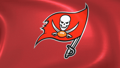 Red Flag With Skull And Crossbones GIF