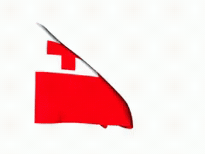 Red Flag With White Cross Waving GIF